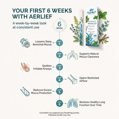 Aerlief Botanical Lung Inhaler
